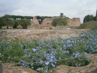 Domus des Kaisers Augustus