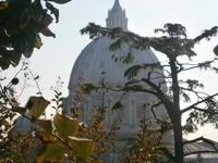 Blick auf die Peterskuppel von den Vatikanischen Gärten