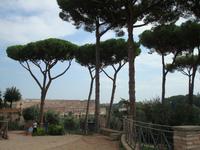 Hügel Palatin, Blick zum Kolosseum