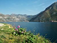 Bucht von Kotor
