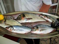 Mittagessen bei Dionis