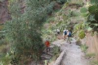 Wanderung auf Lipari - Abstieg zum Strand