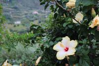 Wanderung auf Lipari