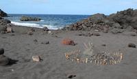 Strand vom Hotel Villagio Stromboli