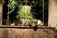 Zum Abschluss für Tierfreunde :-)