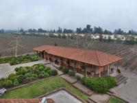 Weingut in Chile