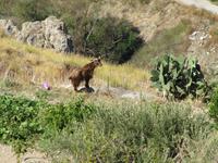 Wir werden beobachtet