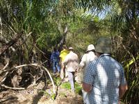 unsere Gruppe wandert im Pantanal