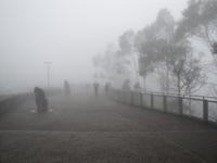 Nebel in den Blue Mountains