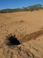 Billabong an der Telegraphenstation Alice Springs