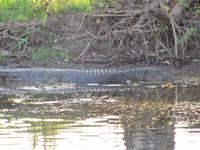 Fahrt auf dem Yellow River