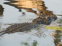 Fahrt auf dem Yellow River