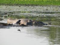 Fahrt auf dem Yellow River