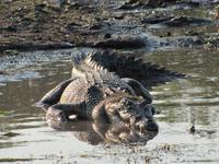 Fahrt auf dem Yellow River