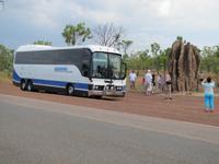 3 Meter Termitenfelsen 