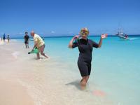 Tagesausflug Great Barrier Reef - Michaelmas Quay