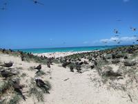 Tagesausflug Great Barrier Reef - Michaelmas Quay