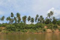 Fahrt mit dem Langboot zum Resort im Taman Negara