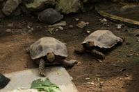 Besuch im Schmetterlings- & Insektengarten