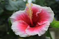 Besuch im Schmetterlings- & Insektengarten