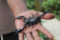 Besuch im Schmetterlings- & Insektengarten