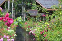 unsere Abai Jungle Lodge