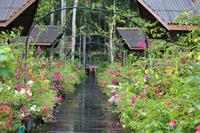 unsere Abai Jungle Lodge