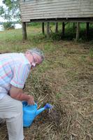 Baumpflanzprojekt zum Schutz des Regenwaldes