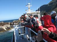 Hout Bay
