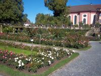 Blumeninsel Mainau am Bodensee