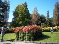 Blumeninsel Mainau am Bodensee