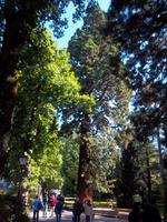 Blumeninsel Mainau am Bodensee