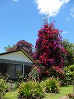 Hotel O'Tai in Hanga Roa