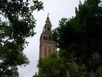 im Innnenhof der Kathedrale von Sevilla