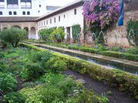 Garten in der Alhambra