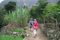 Wanderung im Paul-Tal auf Santo Antao