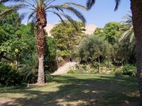 Kibbuz En Gedi