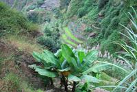 Wanderung im Paul-Tal auf Santo Antao