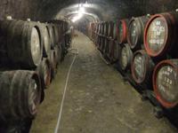 Tief unten im Weinkeller