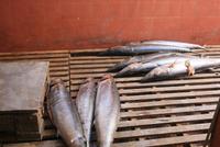 Auf dem Fischmarkt in Mindelo