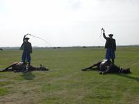 Vorführung in der Puzta