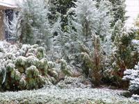 Schneeeinbruch in Eger