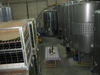 Weingut Vinya Taujana