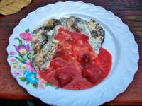 Szilvasvarad, Forellenpicknick