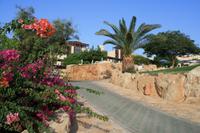 0283 Hotelanlage Marriott am Toten Meer