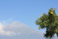 050 Blick zum Popocatepetl