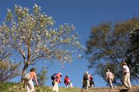 063 der erste Aufstieg in Monte Alban