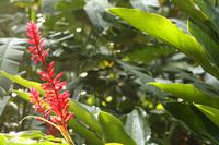 122 auch hier gibt es schöne Blumen