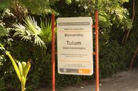 185 Eingangsschild Tulum