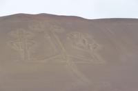 Ausflug Ballestas Inseln